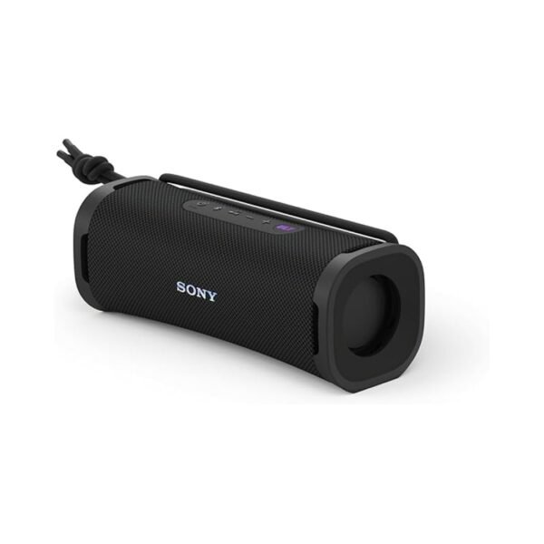 Buy Sony SRS-XE300