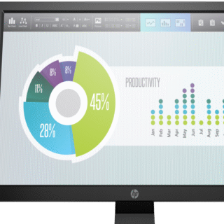 HP P204v 19.5-Inch HD Monitor