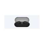 Buy Sony WF-C500 TWS Earbuds