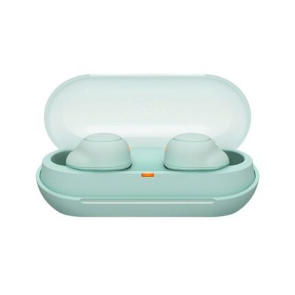Buy Sony WF-C500 TWS Earbuds
