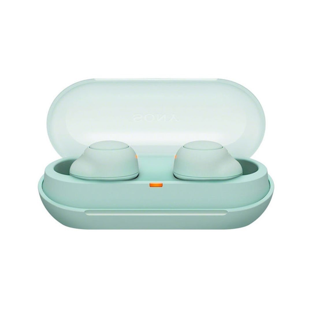 Buy Sony WF-C500 TWS Earbuds