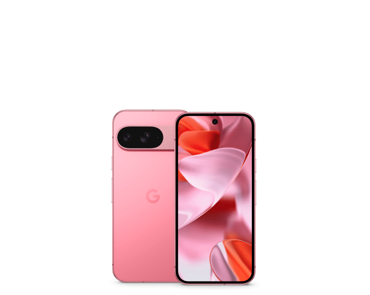 Google Pixel 9 model reference